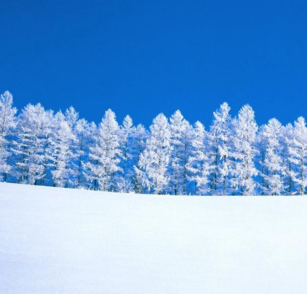 50 cm di neve in Piemonte