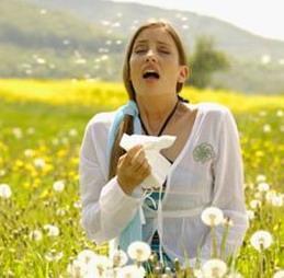 Allergie: tutti i segreti