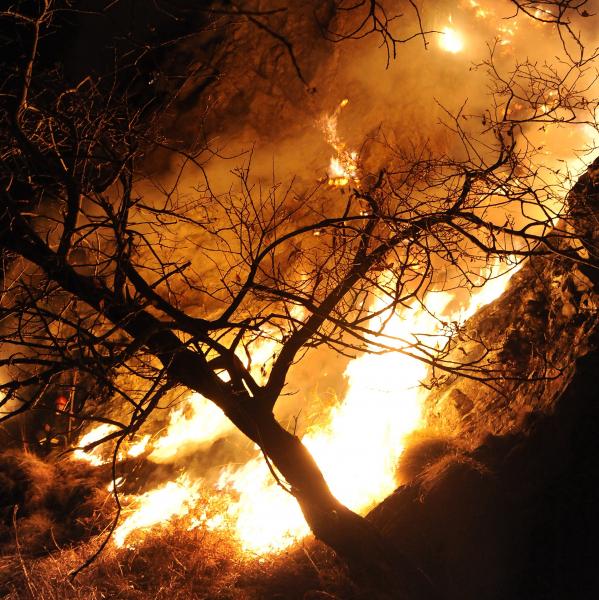Brucia un bosco sul Cucco