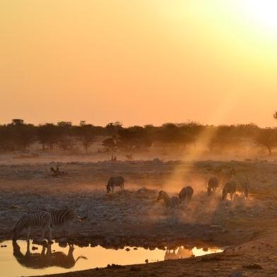 La buona Africa