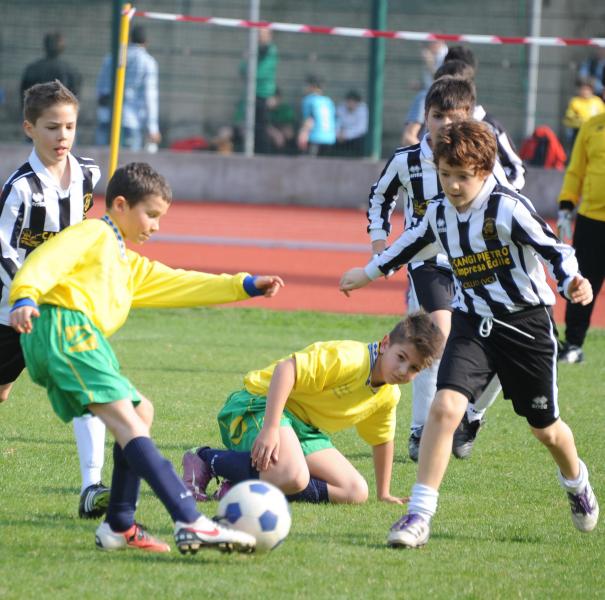 Torneo di primavera<BR> Tutta la fotogallery