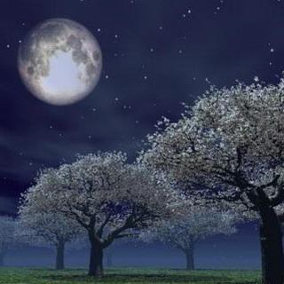 Fotografie con la luna piena
