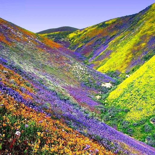 GENIUS LOCI <br> Il ritorno della primavera
