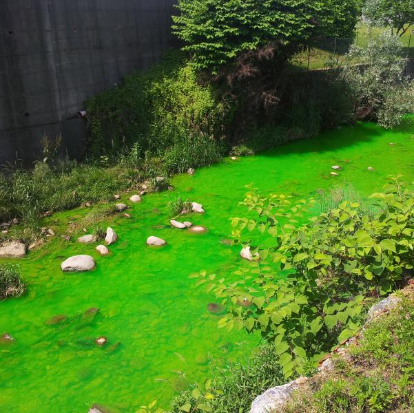 Il Chiebbia si tinge di giallo