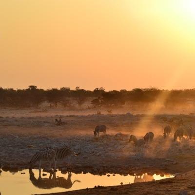 “Goeie-Afrika”
