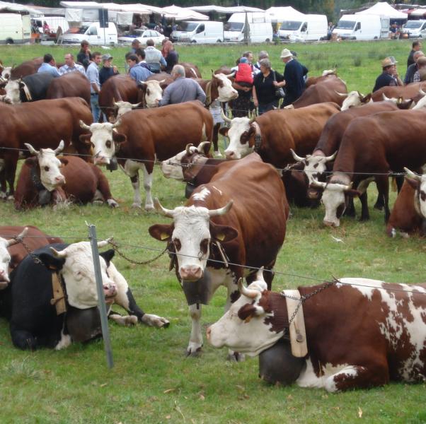 A Oropa la Fiera di San Bartolomeo