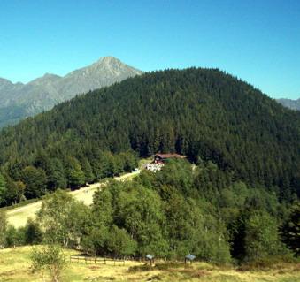 Ottantenne disperso da due giorni