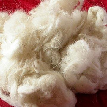 Le fibre più preziose diventano un libro