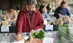 Piccoli Produttori Biellesi in rete