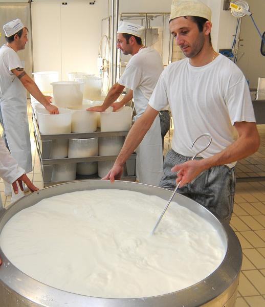 Torna “Formaggi d’autunno”