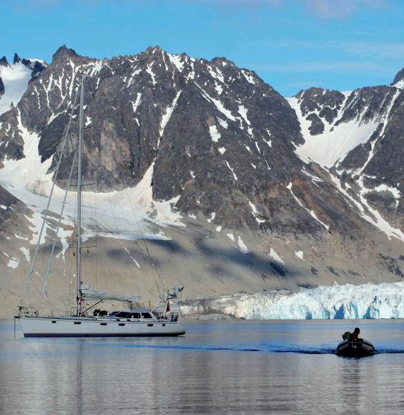 Un… Falco tra oceani, iceberg e orsi