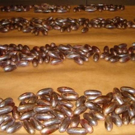Ovuli di droga in pancia