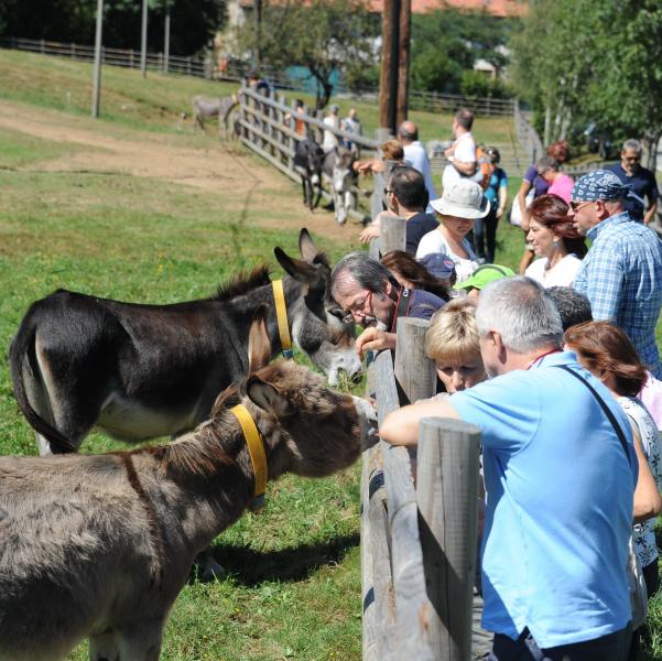 Al Rifugio degli Asinelli sette nuovi arrivi