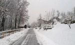 Prima neve, disastro piante cadute