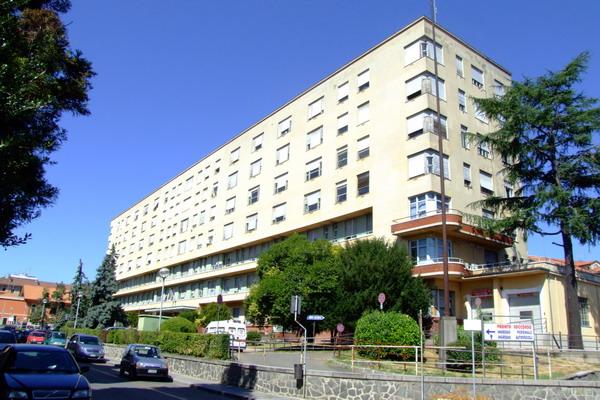 Due casi di meningite meningococcica in due fratelli: sono fuori pericolo