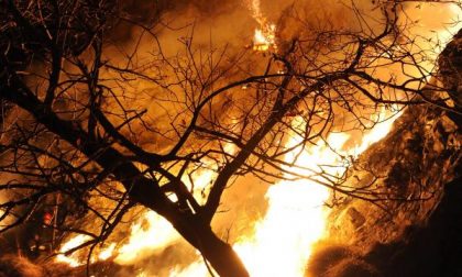 Bruciava sterpaglie, incendiò un bosco: condannato