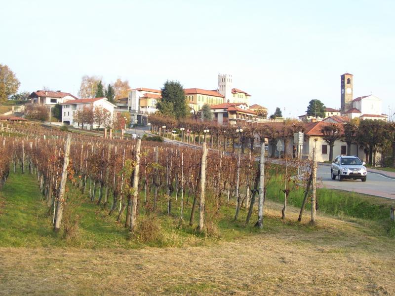 A Lessona i 300… Colori del vino
