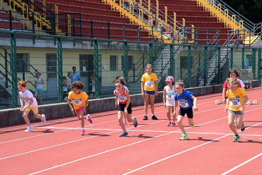 Trofeo Gomitolo Di Lana Di Atletica