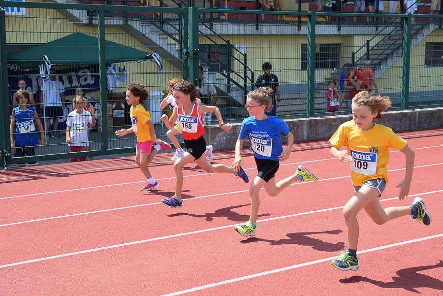 Trofeo Gomitolo Di Lana Di Atletica