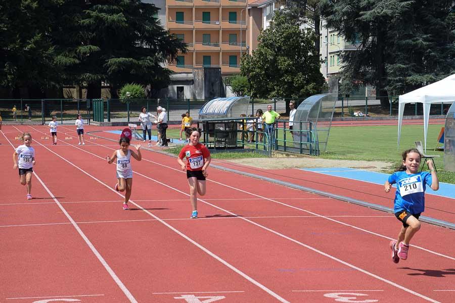 Trofeo Gomitolo Di Lana Di Atletica