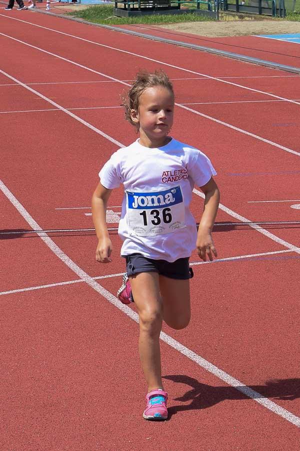 Trofeo Gomitolo Di Lana Di Atletica