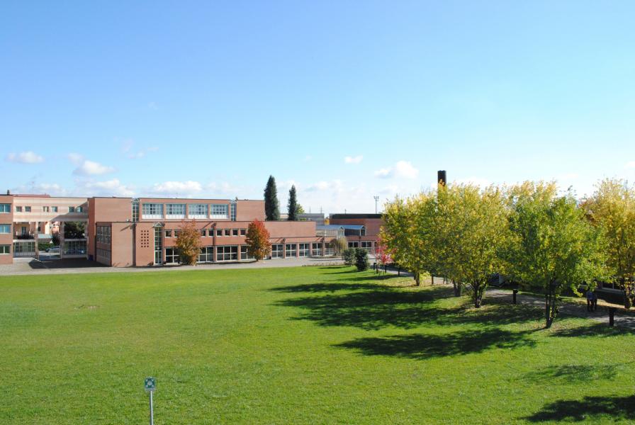 Biblioteca aperta tutto agosto