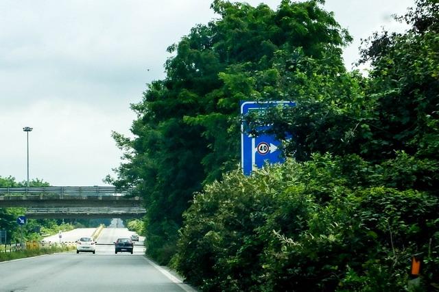 La giungla avanza sulle strade provinciali