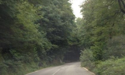 Sommersi dal verde, strade a rischio frane