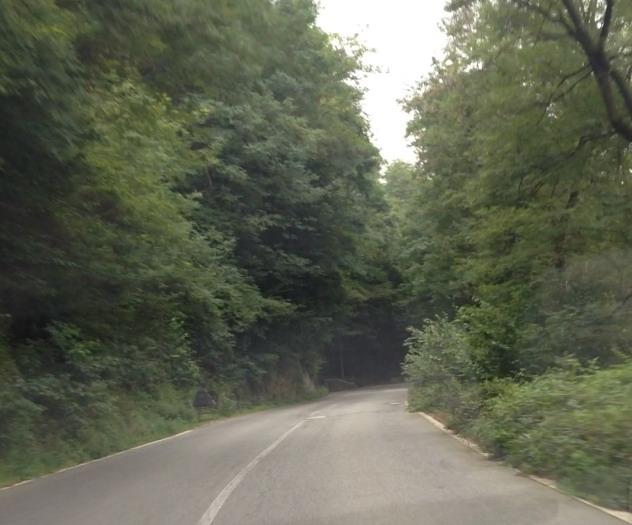 Sommersi dal verde, strade a rischio frane