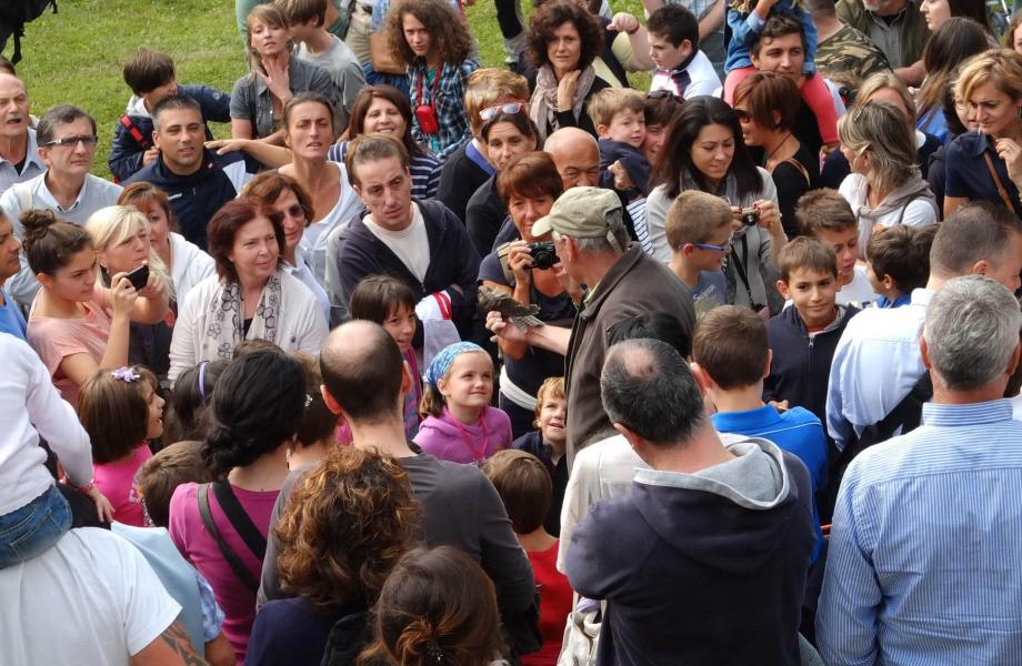 In Burcina la liberazione dei rapaci