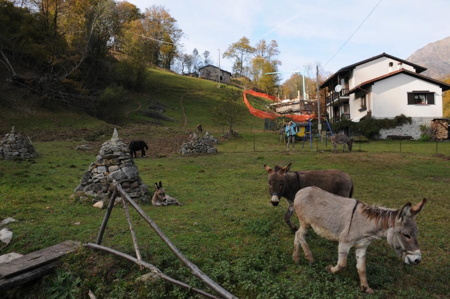 Morta un’altra capra: ne restano otto