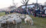 Festa Del Pan E Vin Valdengo