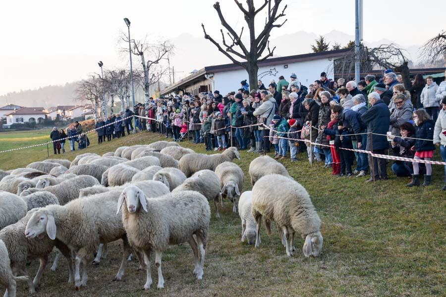 Festa Del Pan E Vin Valdengo