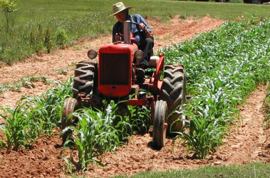 Coronavirus: attacchi al Made in Italy, gli agricoltori di Biella sostengono Mangia Italiano