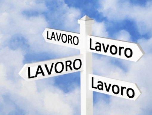 Tredici posti di lavoro a disposizione