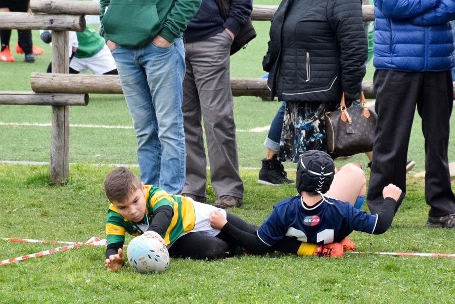 Trofeo Dell'Orso Rugby