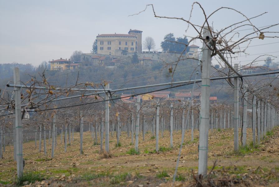 Itinerario gastro-naturalistico sulla morena