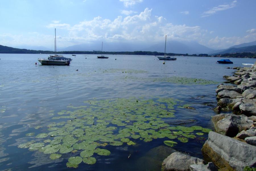 Muore mentre passeggia sul lungolago a Viverone