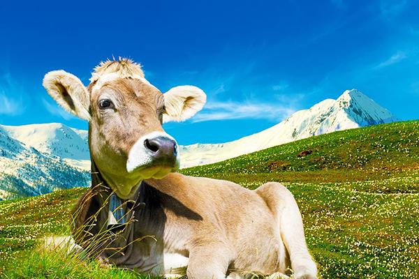 Sulle tracce dei nostri agricoltori