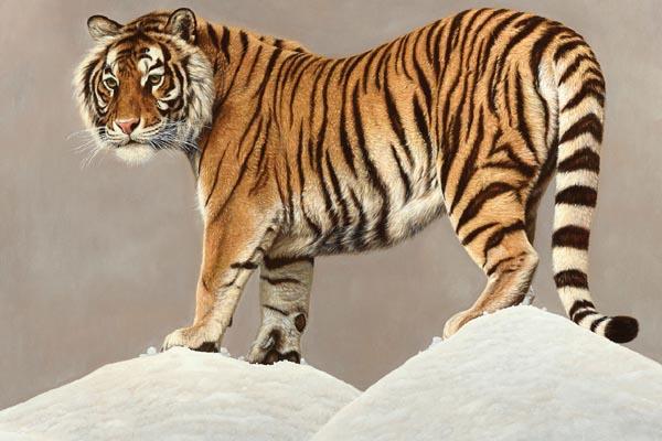 Biella… Selvatica si apre alla natura