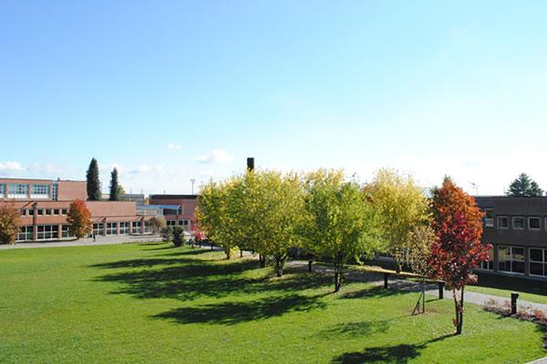 Città Studi lancia il terzo Master in Management and Textile Engineering