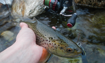 Permesso di pesca giornaliero... E le trote?