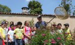 Il giardino (e presto un orto) delle farfalle