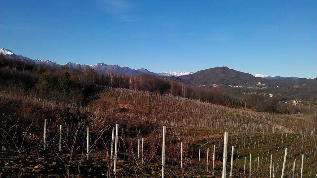 Passeggiata alla scoperta del Bramaterra