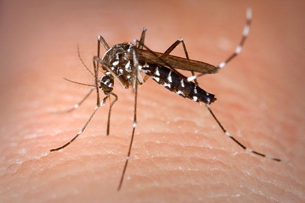 Allerta caldo, picchi superiori ai 30 gradi