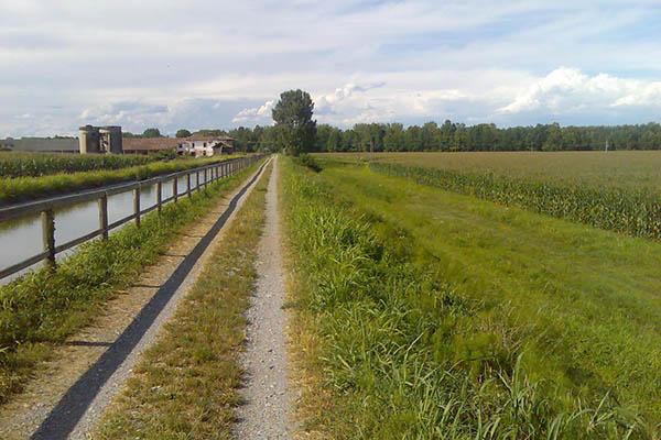 Siccità: agricoltura in ginocchio