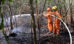 Brucia un capanno nel bosco