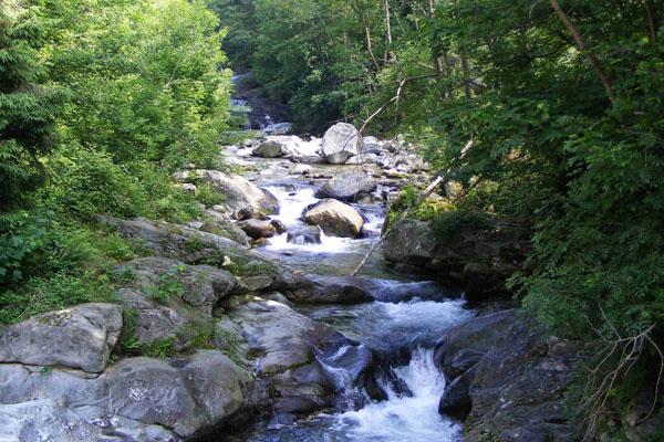 Salvati dalla furia del Cervo in piena
