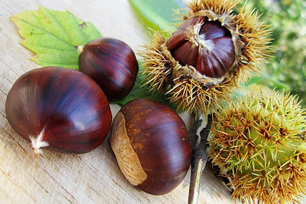 Expo: venerdì 25 settembre una giornata tutta biellese