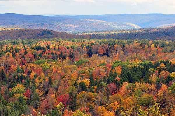 All’aperto d’autunno nel foliage